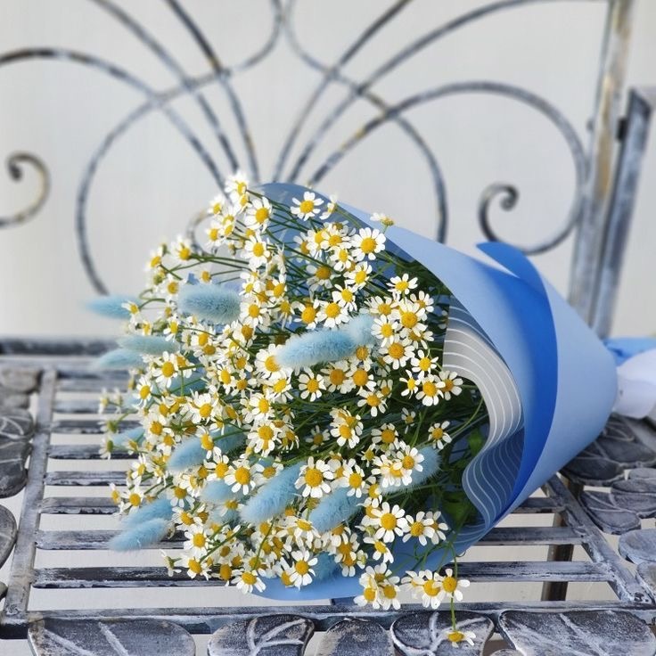 Авторский букет-комплимент из ромашек №157