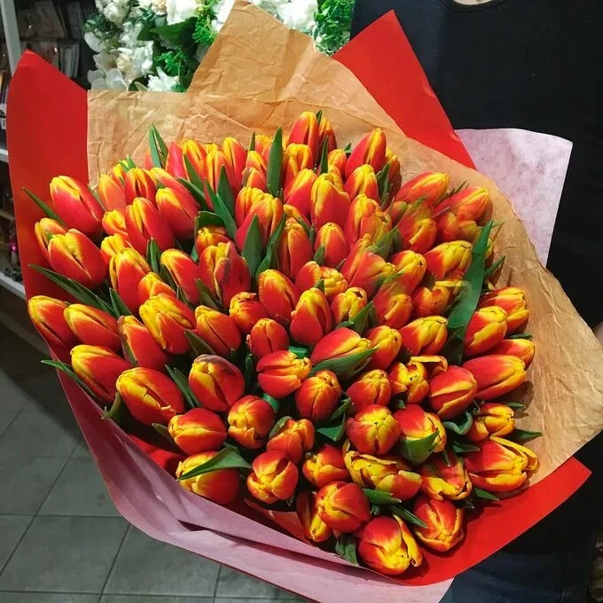 Букет из 101 красно-желтого тюльпана №18