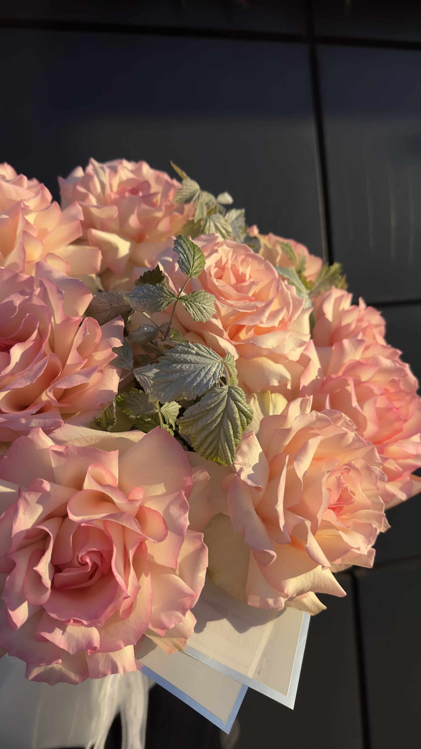 Букет из 13 нежно-розовых французских роз №2