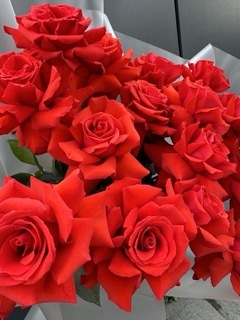 Букет из 15 красных французских роз №226