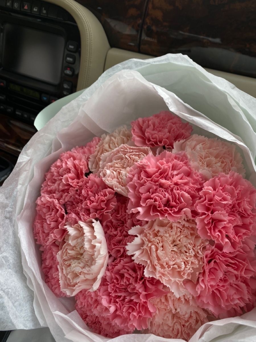 Букет из 17 пушистых диантусов №115