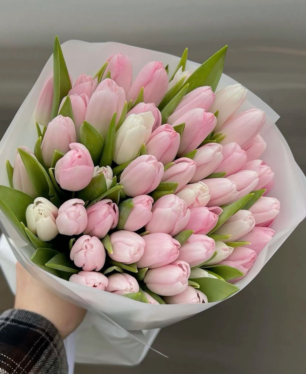 Букет из 45 розовых тюльпанов №21