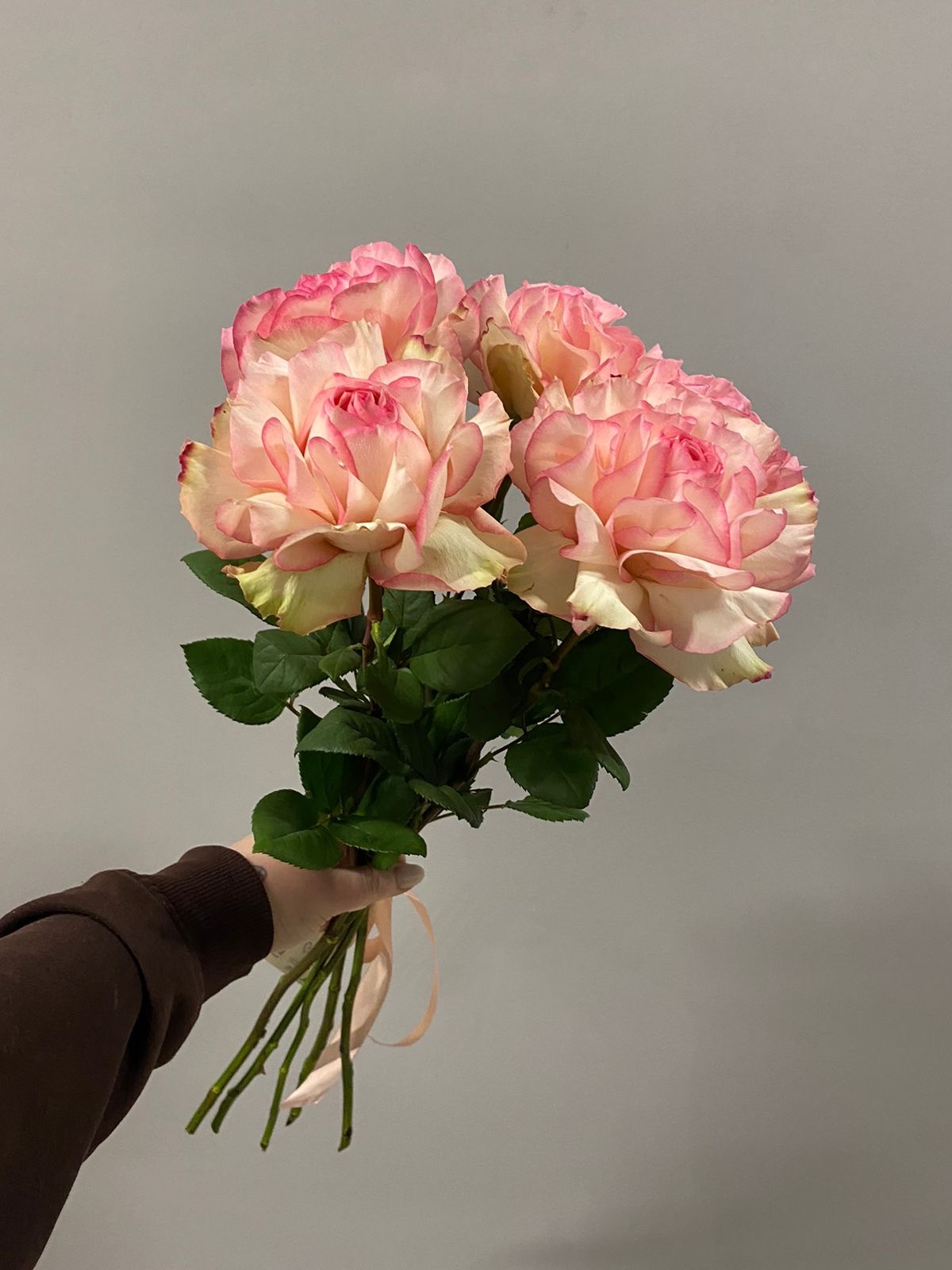 Букет из 5 французских роз №266