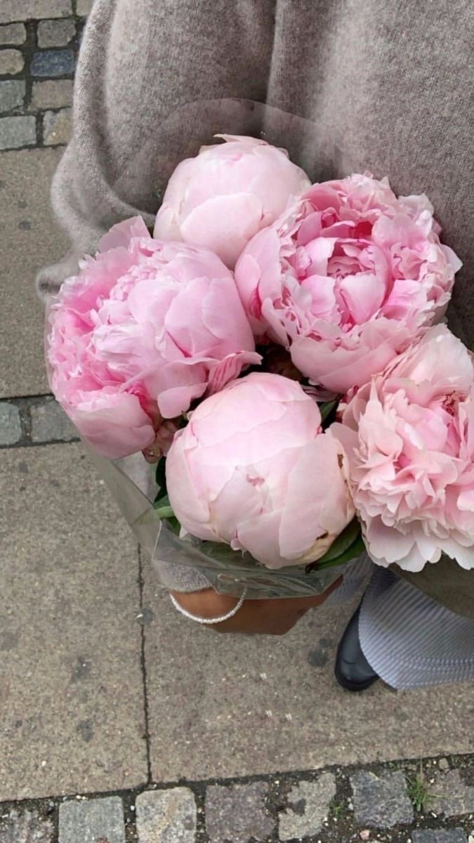 Букет из 5 розовых пионов №221