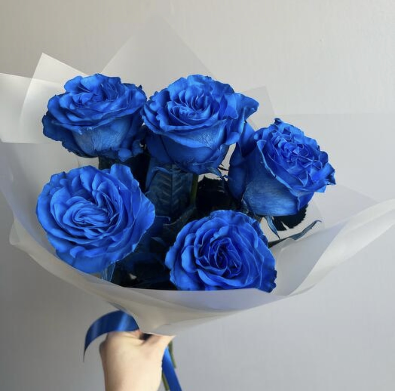 Букет из 5 синих роз №253