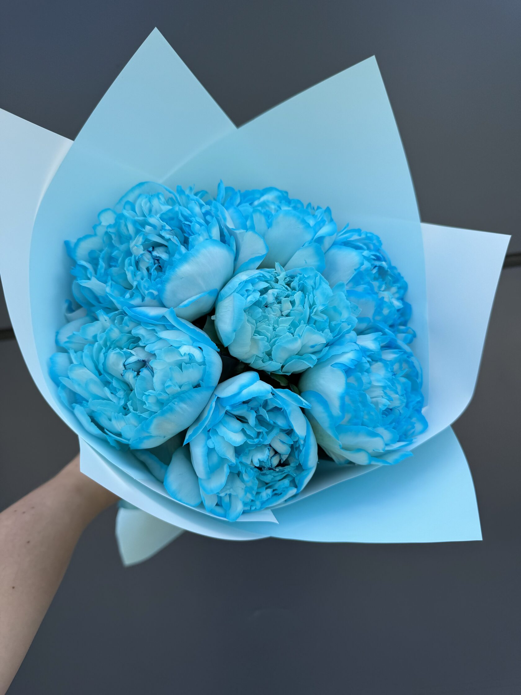 Букет из 7 голубых пионов №13