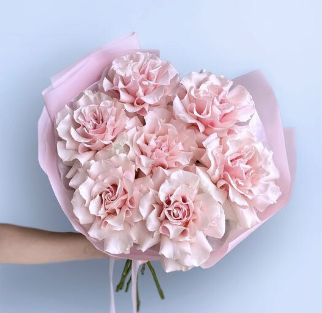 Букет из 7 нежных французских роз №284