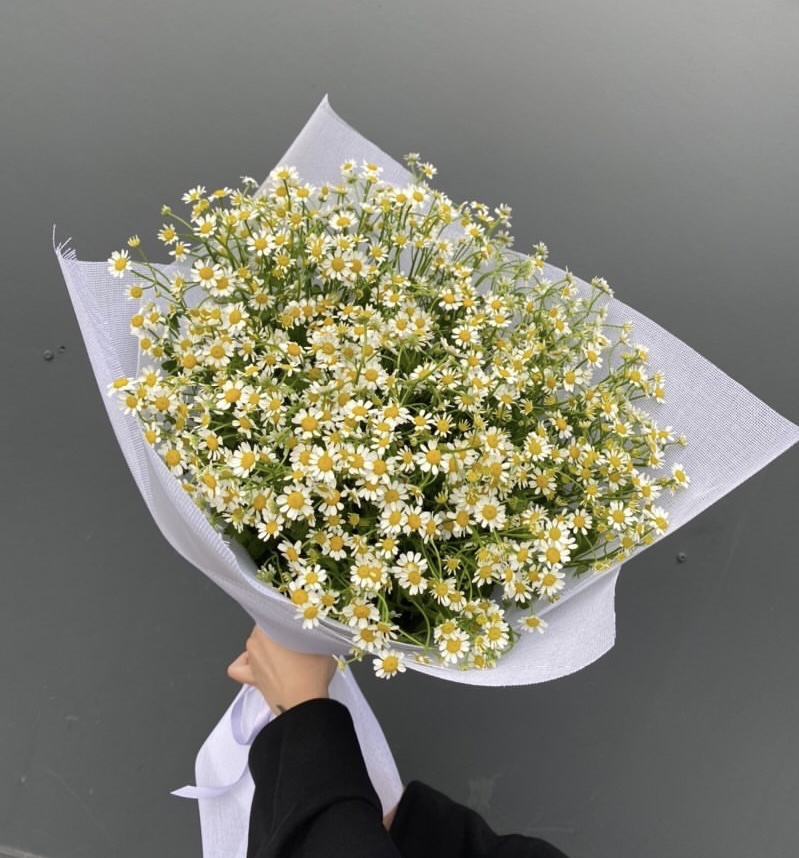 Букет из ромашек №227