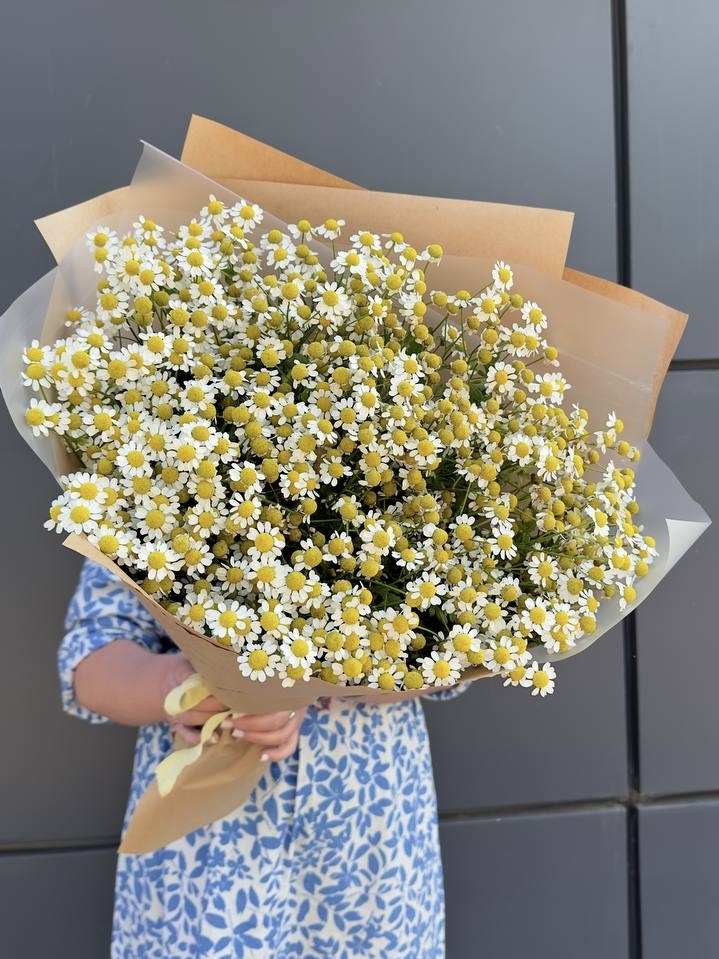 Букет из ромашек №59