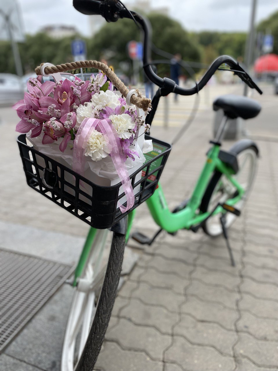 Коробка-переноска с орхидеями и диантусами №64