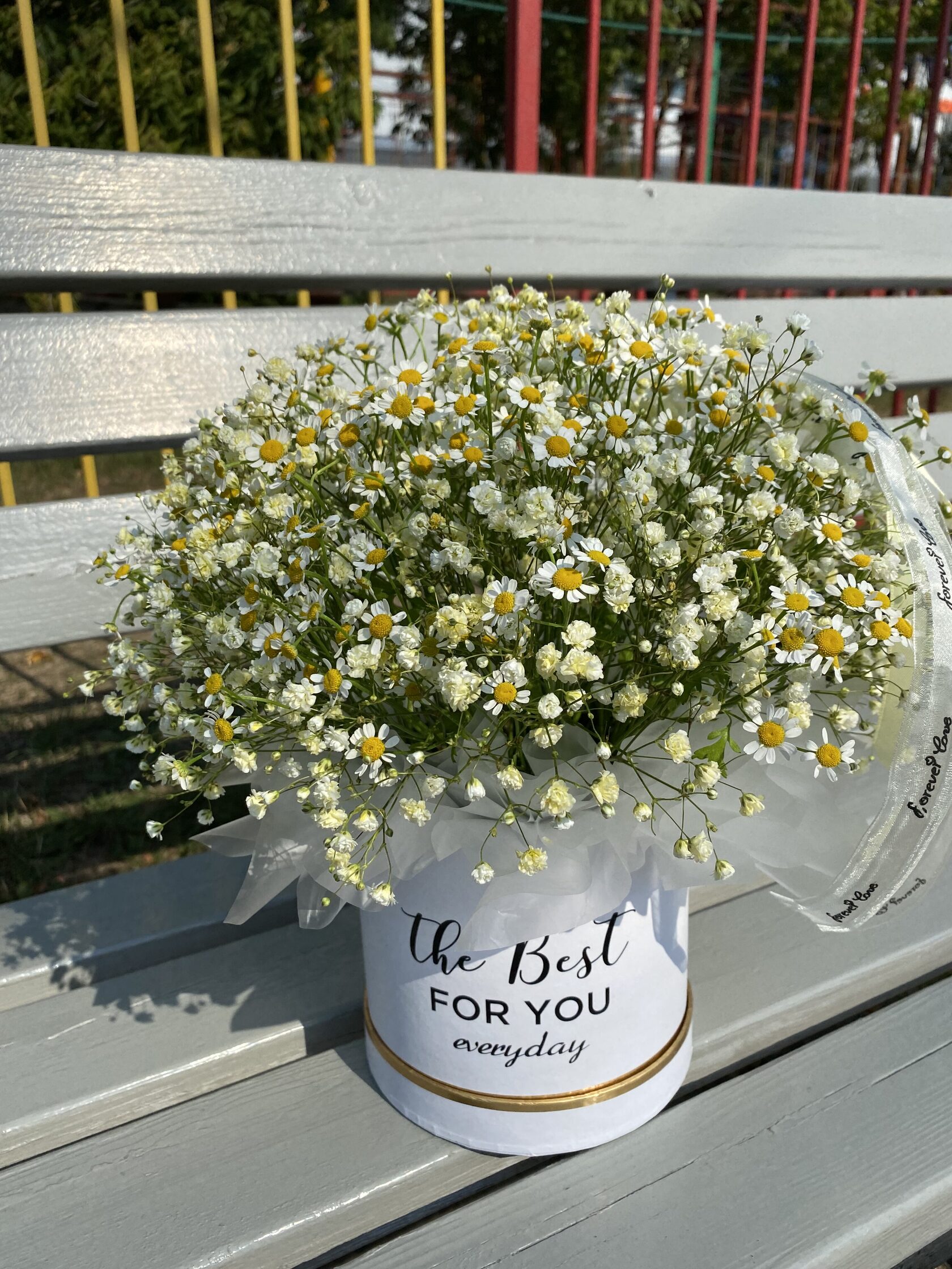 Коробка с гипсофилой и ромашкой №41