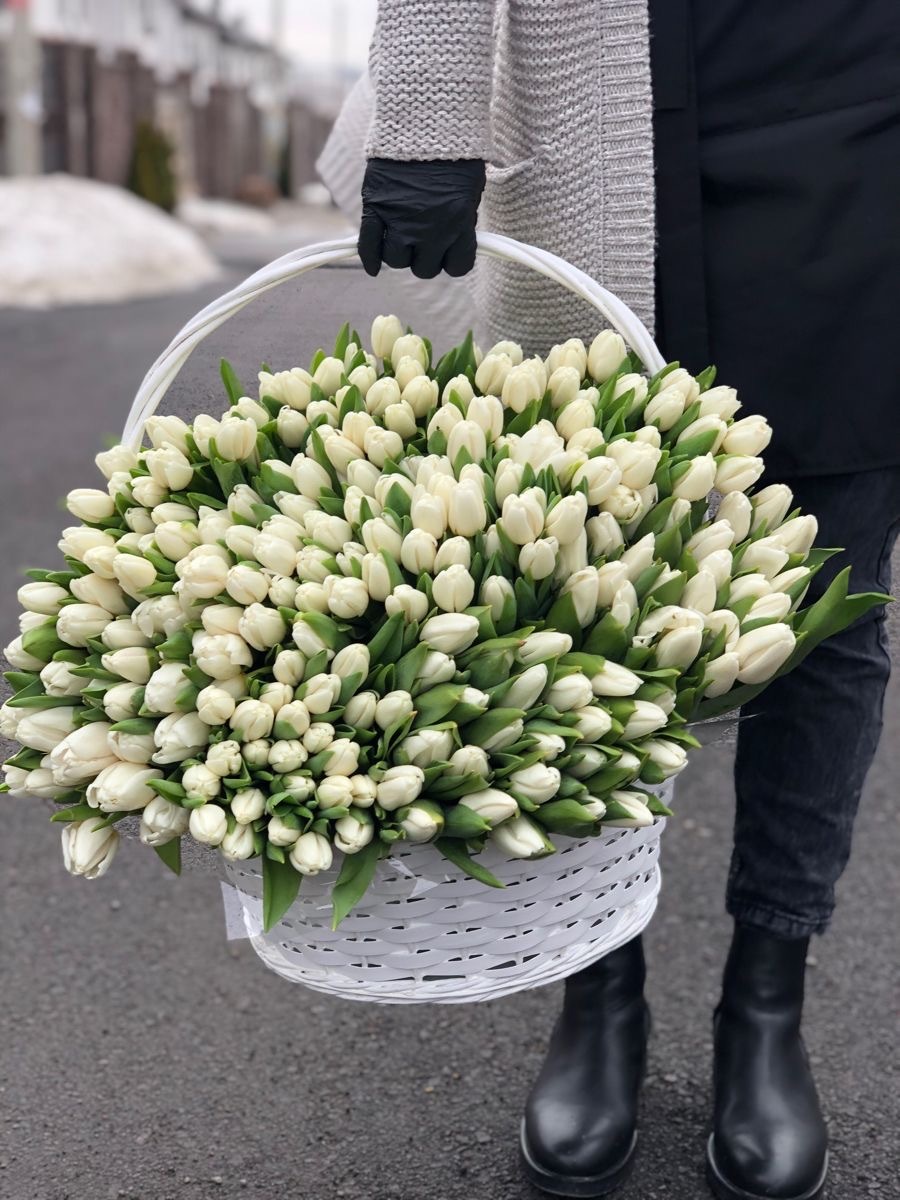 Корзина из 301 белых тюльпанов №25