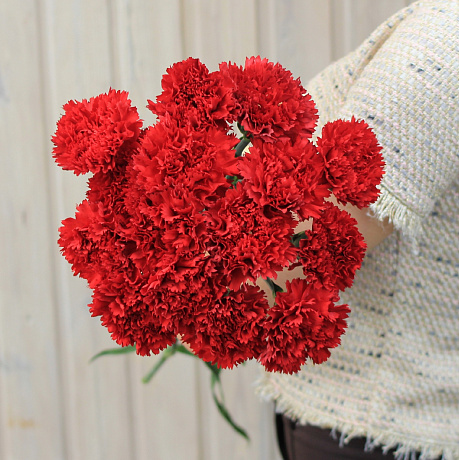 Монобукет из красных гвоздик №292