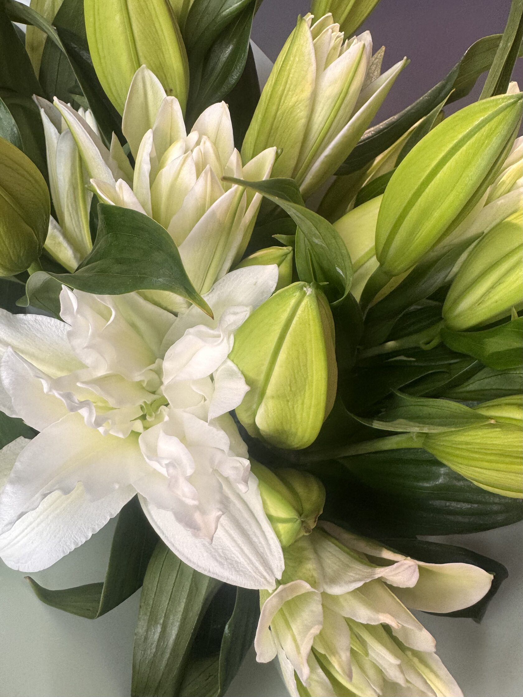 Монобукет из лилий №177