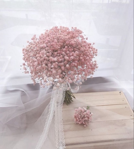 Свадебная пара из розовой гипсофилы №58